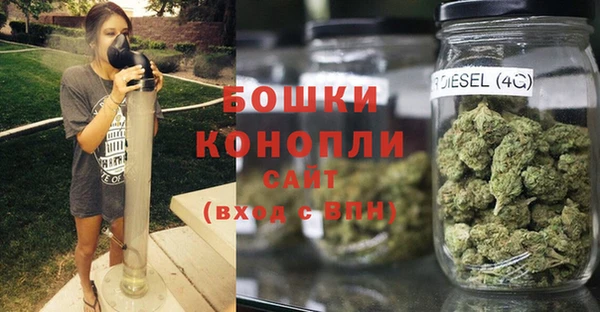 дживик Россошь